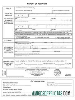 Relatório de adoção dos EUA exemplo